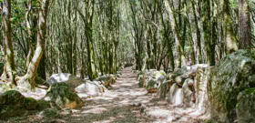 Sentier du patrimoine vers le site préhistorique de Cucuruzzu, commune de Levie en Corse