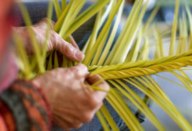 Tressage des palmes pour la Semaine Sainte en Corse.  Pullezzula de Figarella