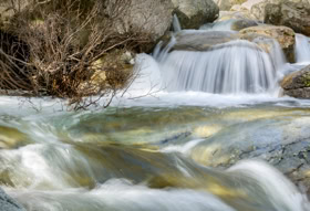 Cascades de l'Agnone, dites "Cascades des anglais" dans la forêt de Vizzavona, commune de Vivario en Corse