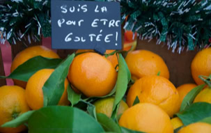 la clémentine de Corse protégée par une IGP