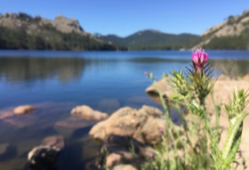 Lac du barrage de l'Ospedale en Corse