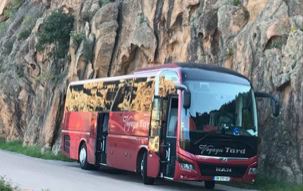Découvrez la Corse en autocar avec un guide local professionnel