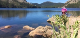 Lac du barrage de l'Ospedale en Corse