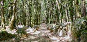 Sentier du patrimoine vers le site préhistorique de Cucuruzzu, commune de Levie en Corse